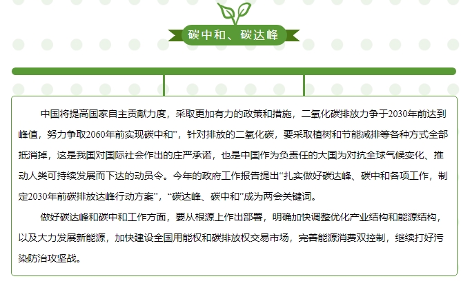 “碳中和、碳達(dá)峰”構(gòu)建綠色、低碳、循環(huán)的可持續(xù)發(fā)展經(jīng)濟(jì)體系